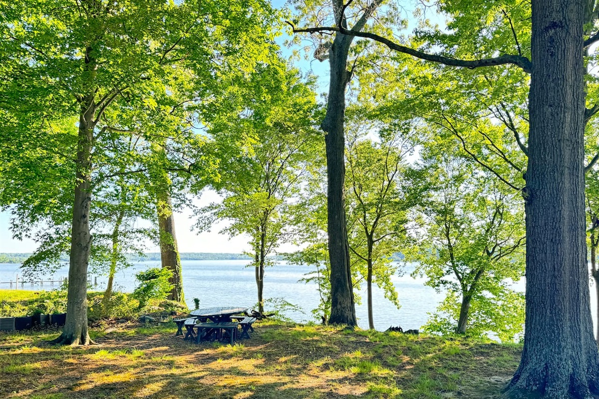 Beautiful backyard views.