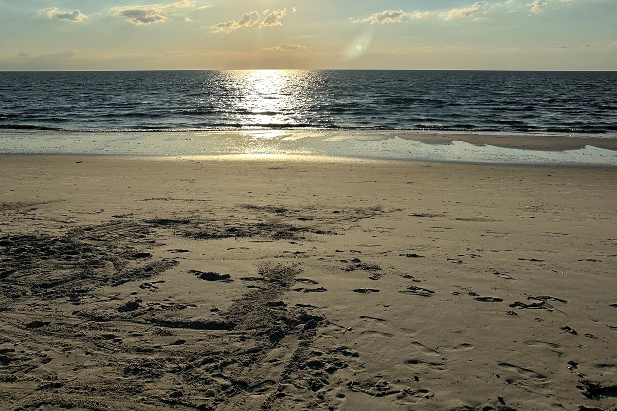 Chill Vibes on the Bay Beach