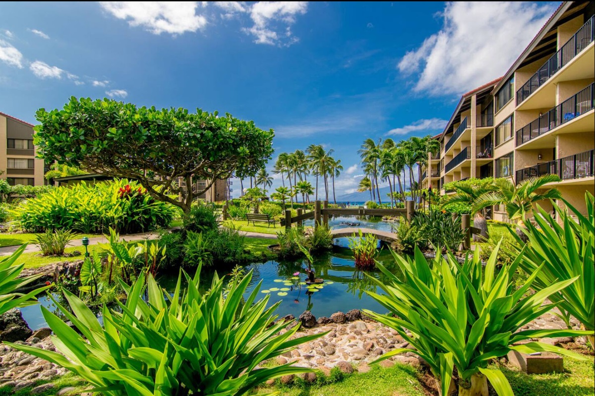 Tropical landscaping that makes your Instagram followers jealous