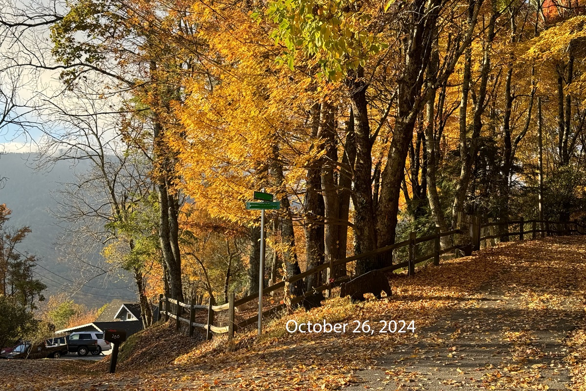 OOPS 2023! Watch Leaves from WishYouWereHere7Devils! Fall Leaf Peeping in NC Mountains has a special view from approx. 3,200 to 6,000 feet elevation to watch the leaves for all of Oct from here!