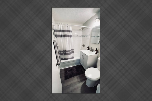 Front bath by the dining room and bedrooms