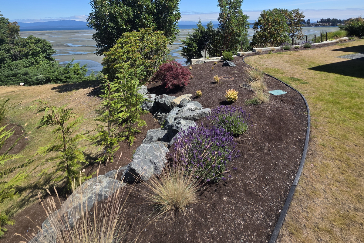 Tide is our! Back yard view.