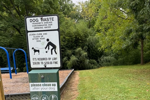 Walk your dog right down the street