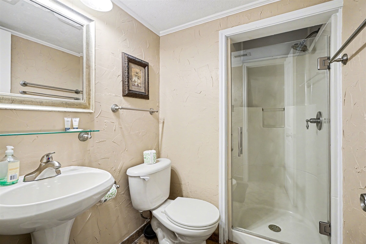 2nd bathroom with walk-in shower