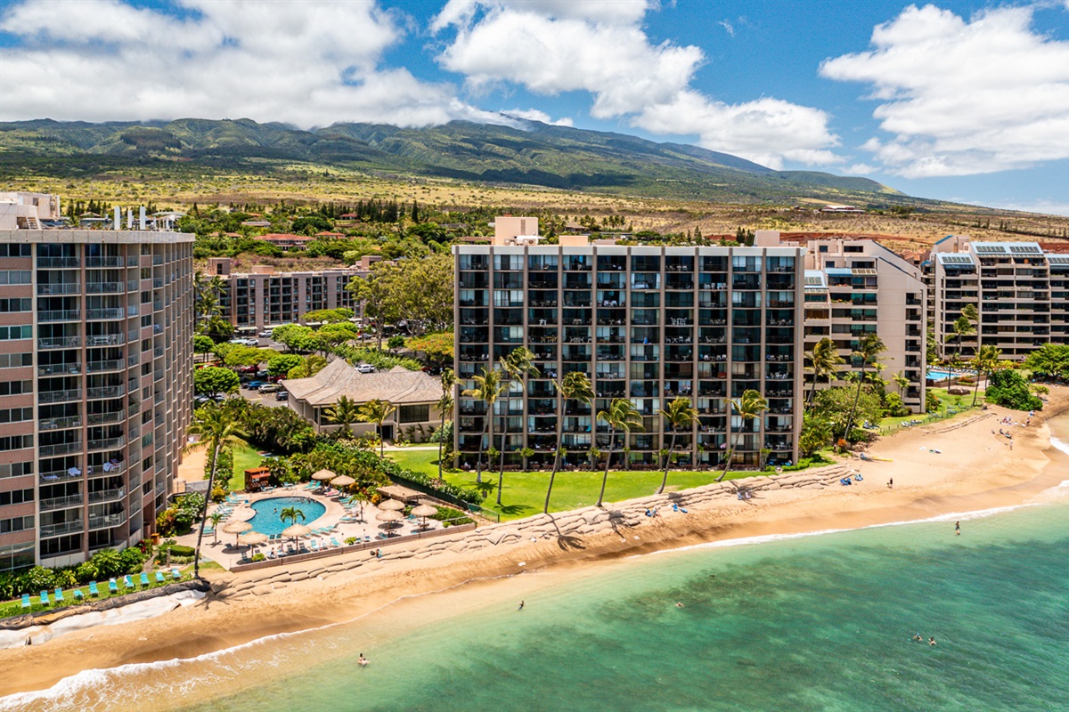 Bird's eye from the water