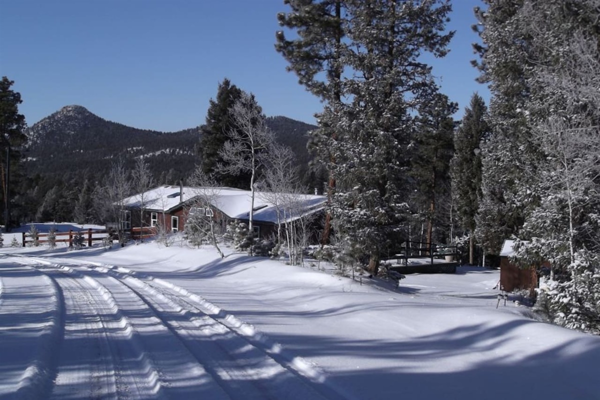 The road to your escape from the real world!