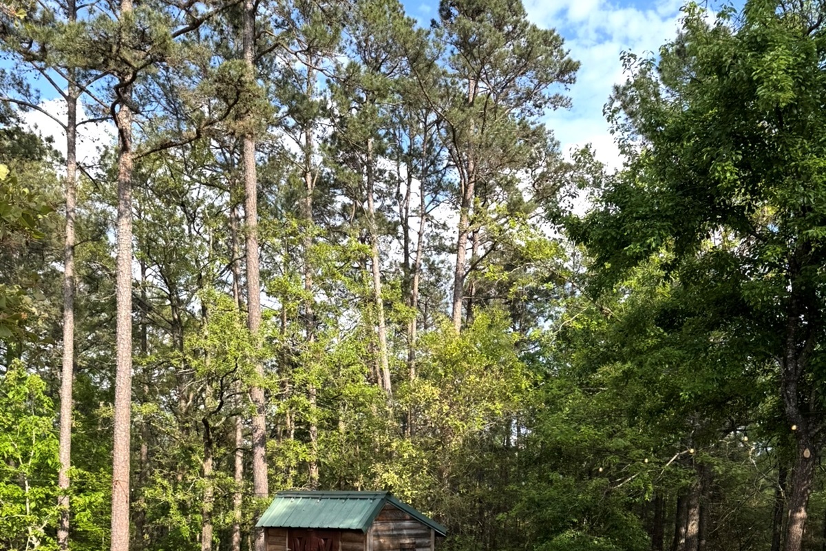 Outdoor Common Area