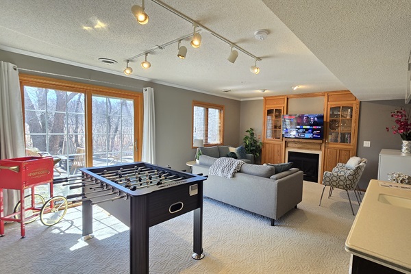 Lower level living room