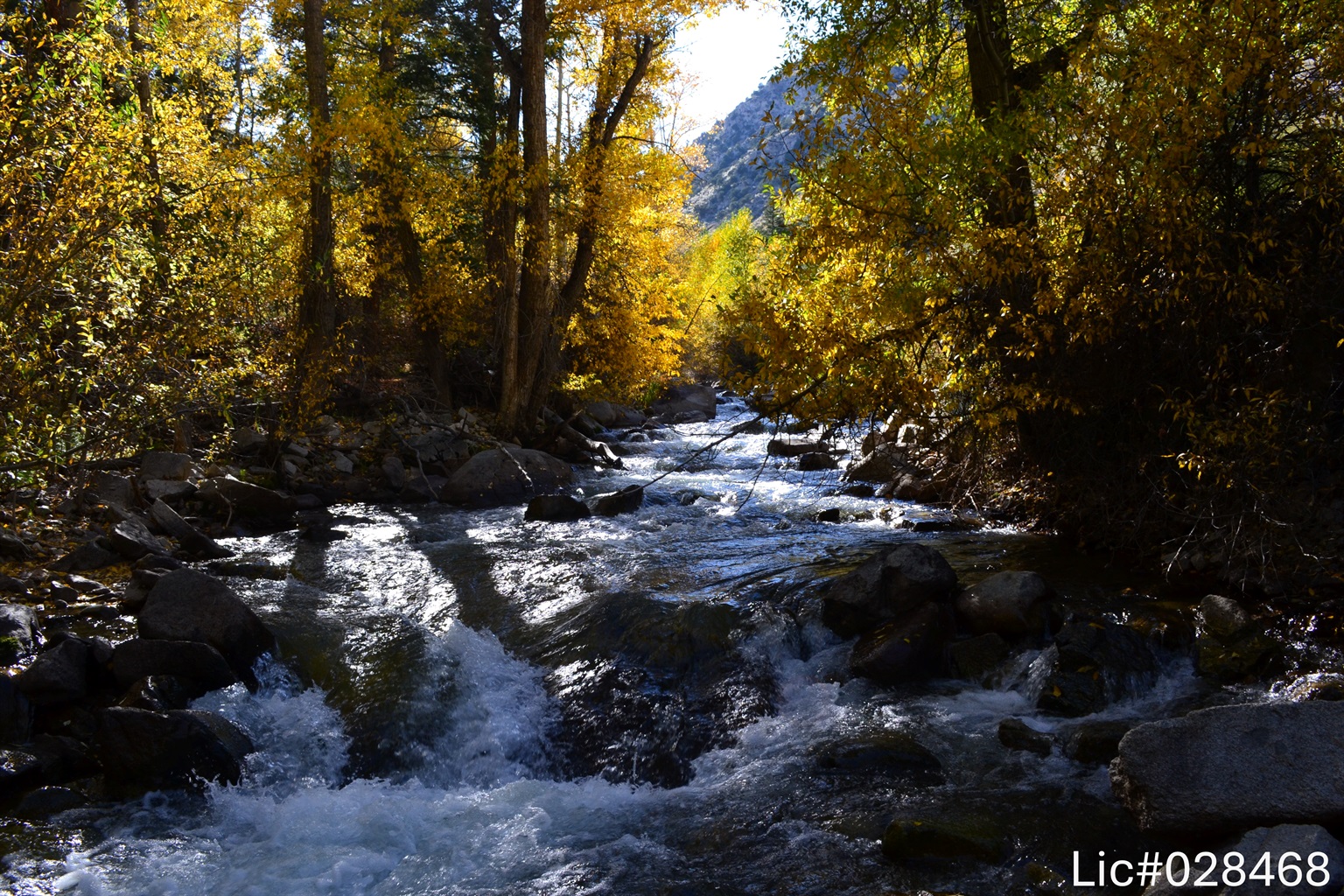 A scenic path leads to the river, offering a tranquil walk amidst nature's beauty.