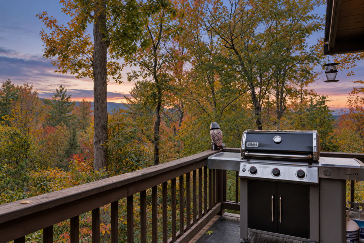 Fire up the grill and let the mountains do the seasoning.