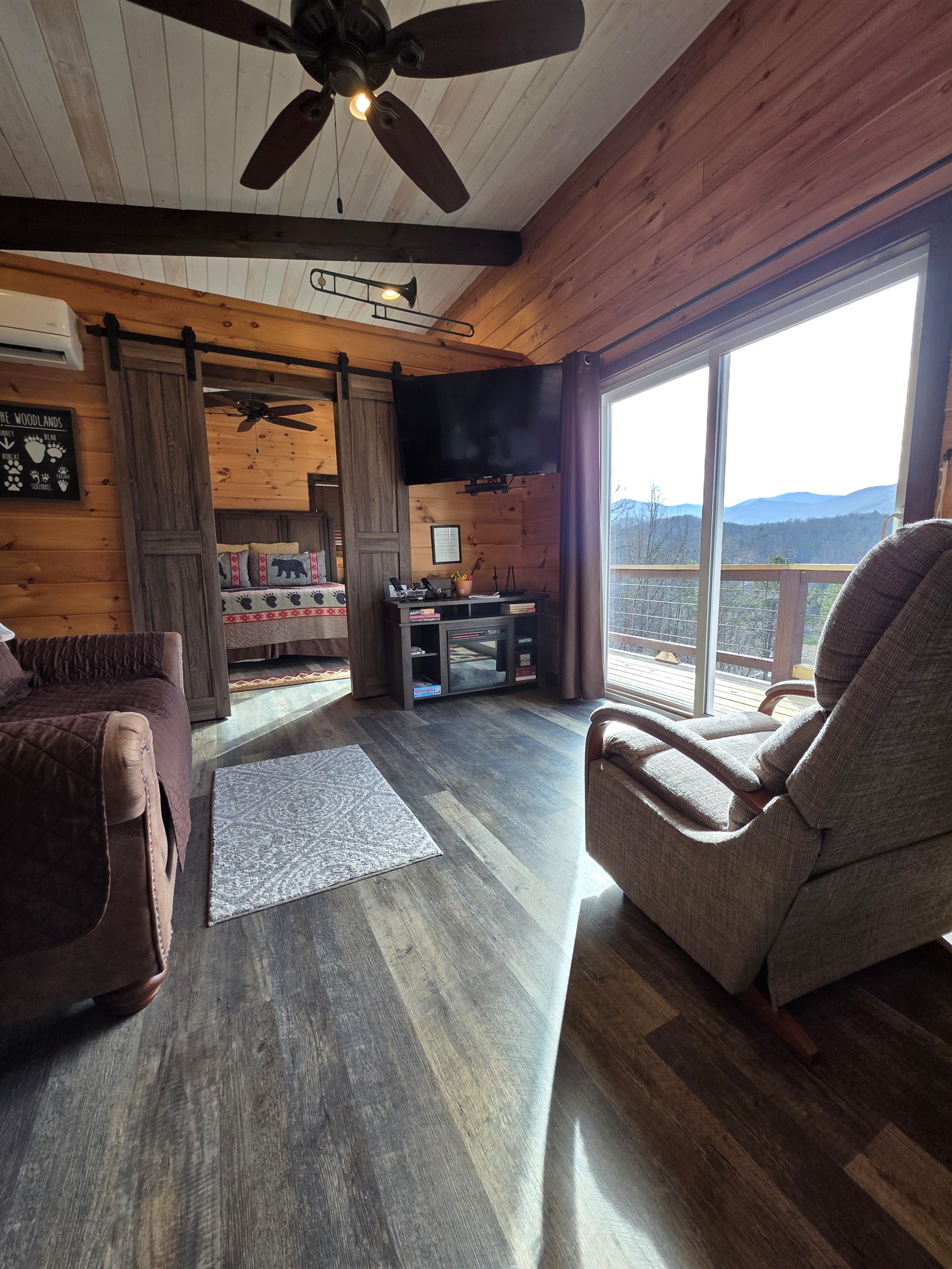 Large TV in living room