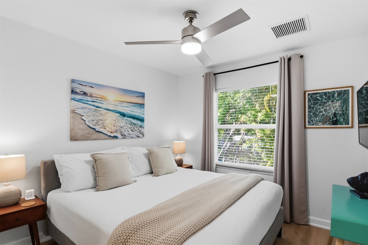 King bedroom, 2nd floor, flat screen tv, walk-in closet, clothing storage, shared bath with queen bedroom