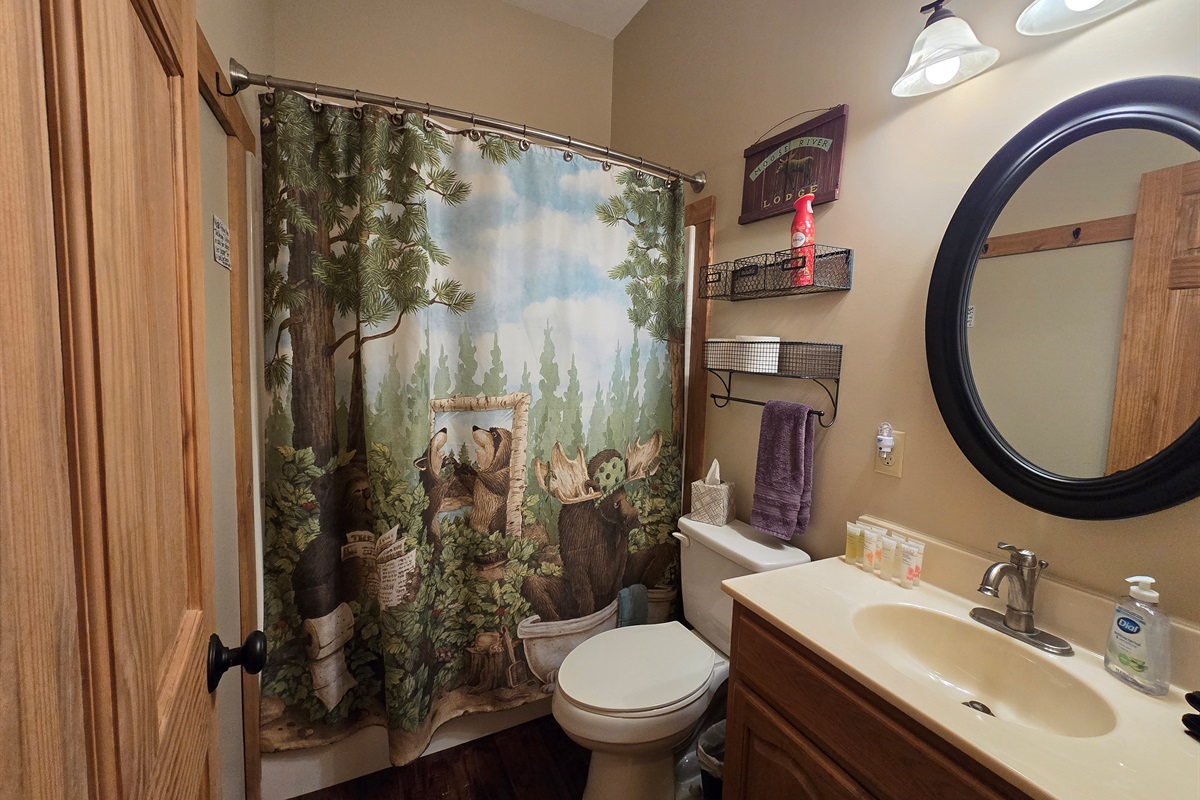 Lower Level Bathroom