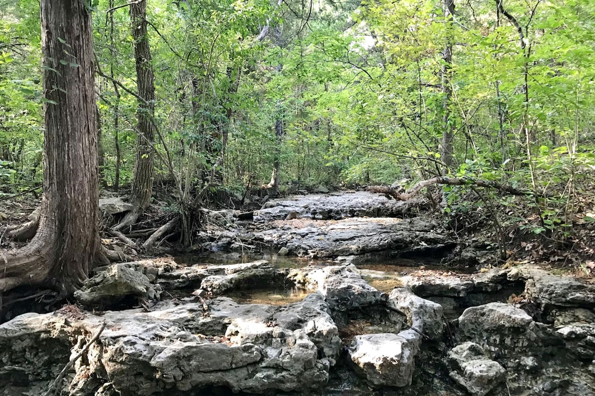 Creek right outside back yard