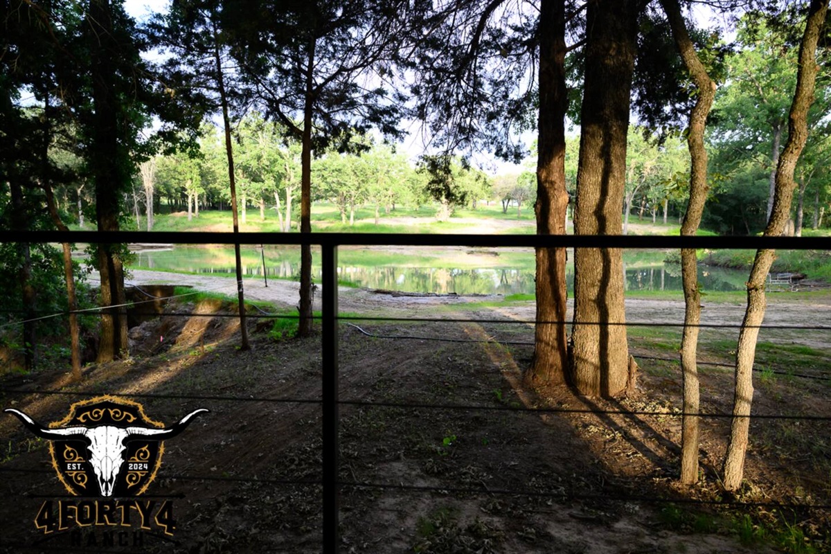 A view of the pond from your patio
