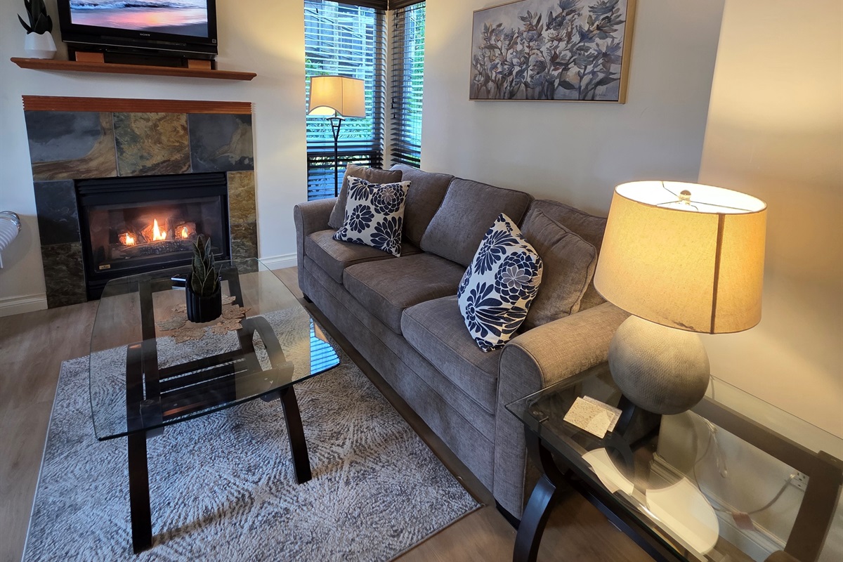 Main Floor. Streaming TV. Double glass doors. AC unit / natural gas fireplace. Covered Patio. Open concept. Roomy and spacious. Queen pull out sofa for extra Guests.