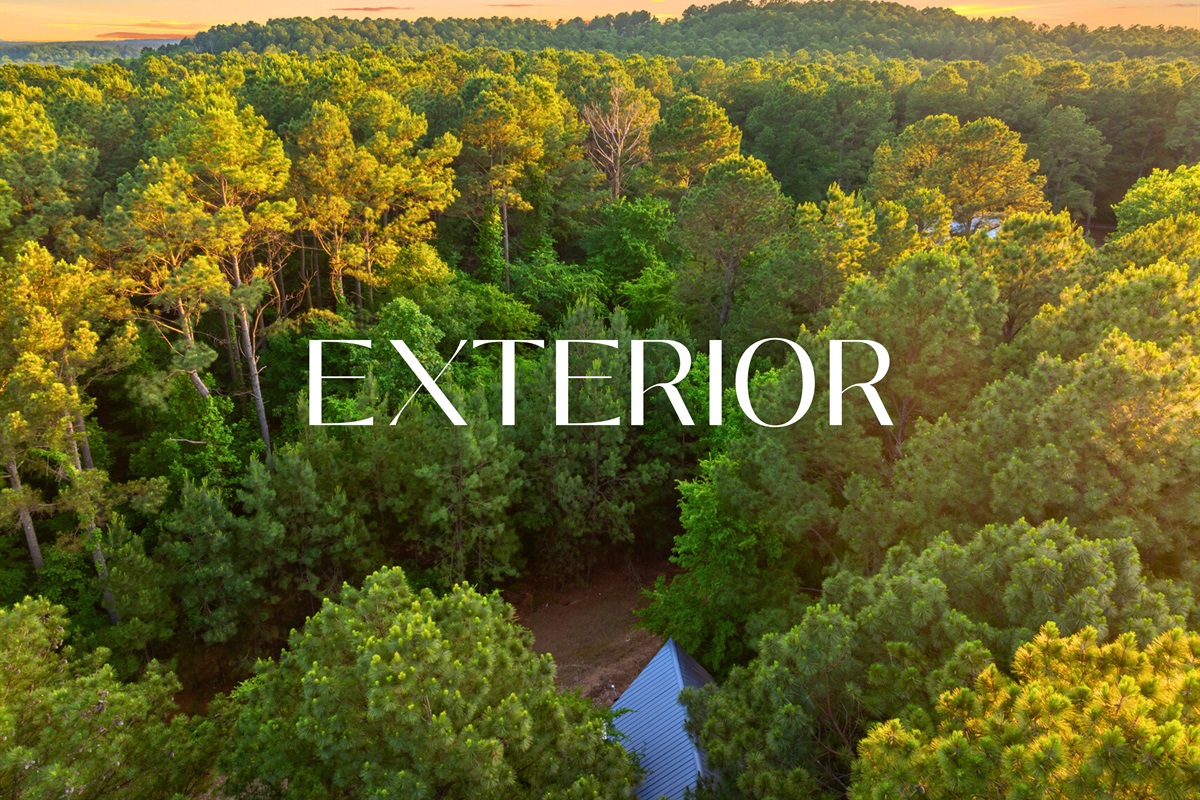 Aerial exterior view of your private forest getaway.