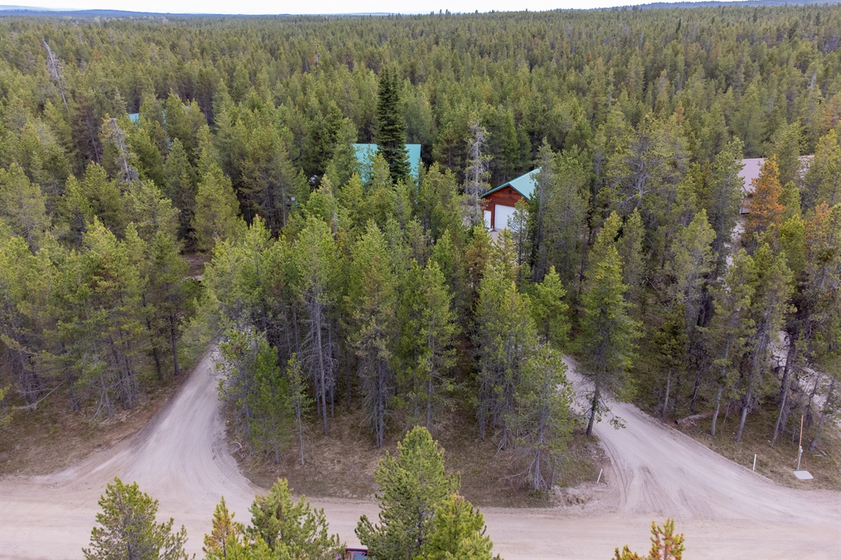 Secluded Cabin, Garage and Second Rental for Reunion Setting