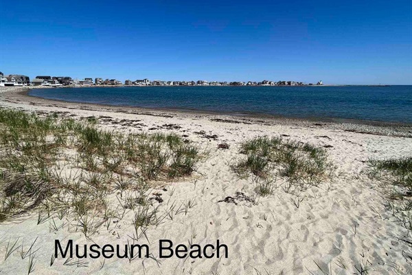 Museum beach  ~ 5 min walk/stroll  from the house. Take a light stroll by the water or enjoy the view from multiple outdoor benches (they're located behind me,  where I stood to take this photo).