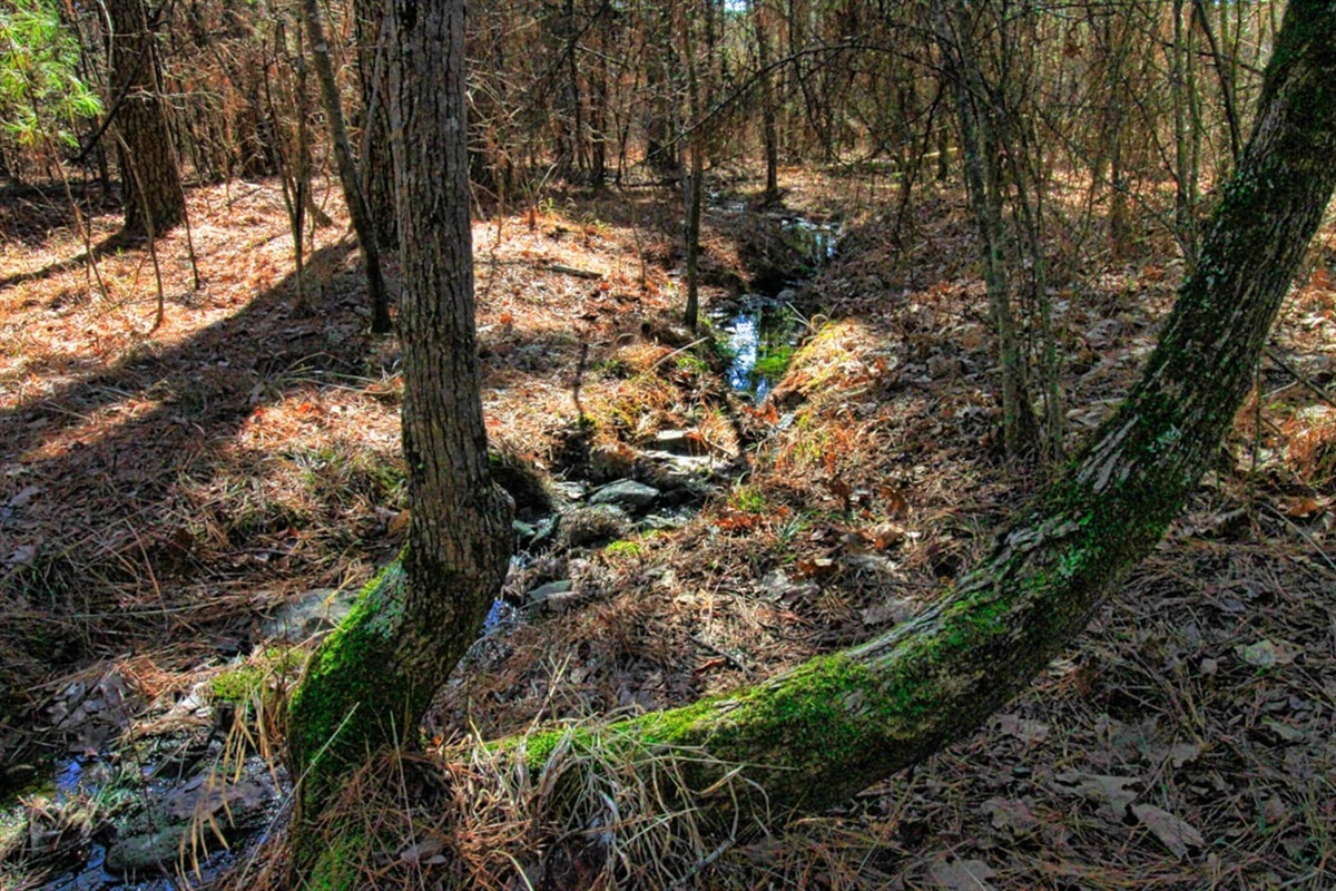 Relax on the porch or take a stroll—let the gentle creek sounds soothe your soul.
