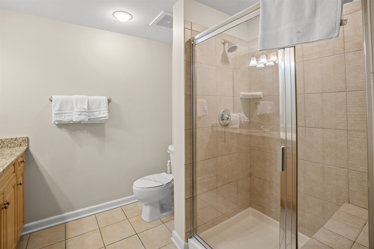 2nd Bathroom - Glass enclosure shower