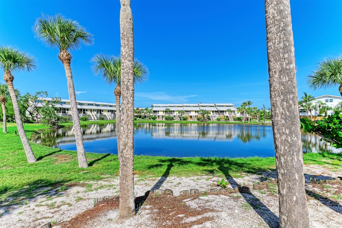 Condo Grounds