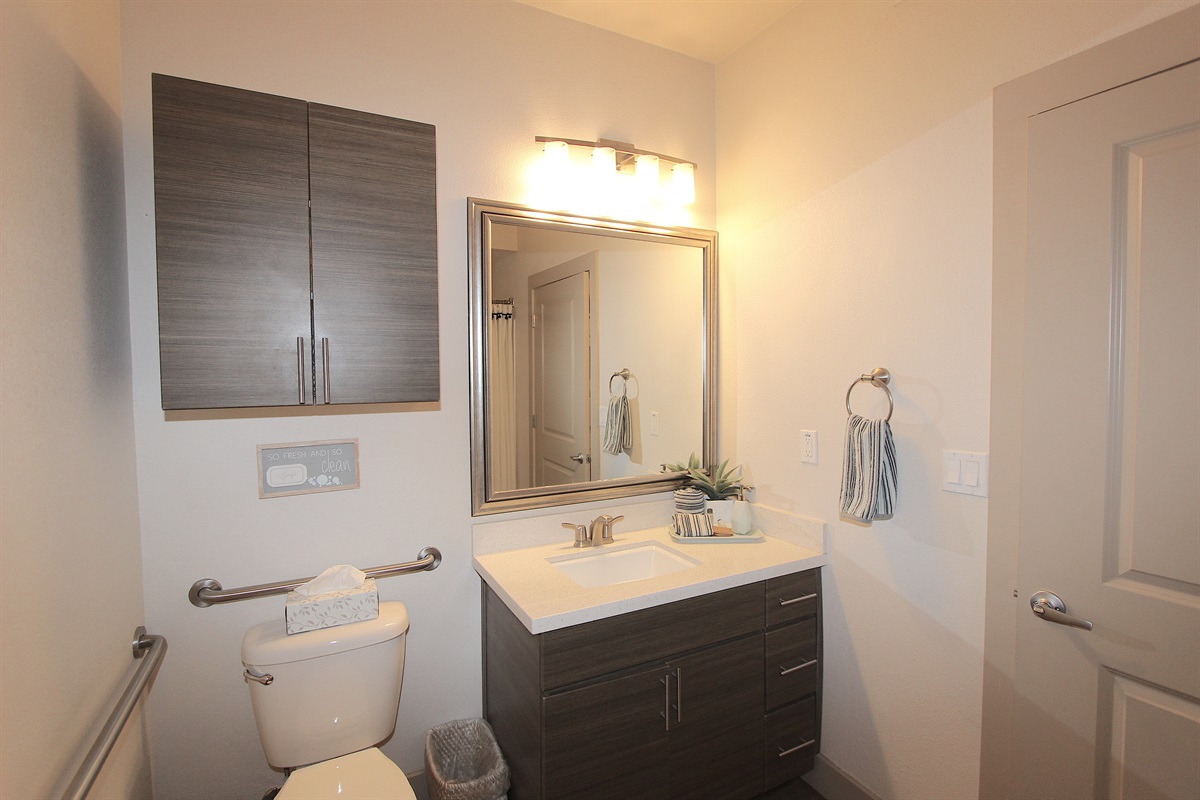 Guest bathroom