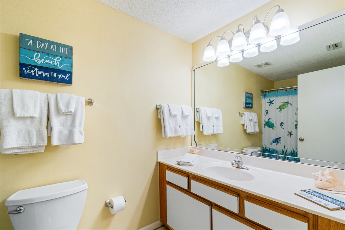 Guest Bath