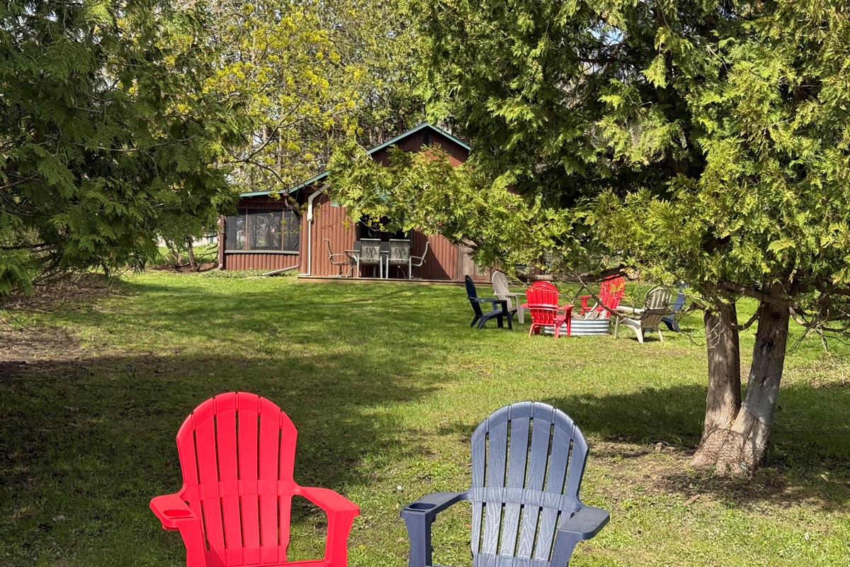 Large yard full of sun and shade!