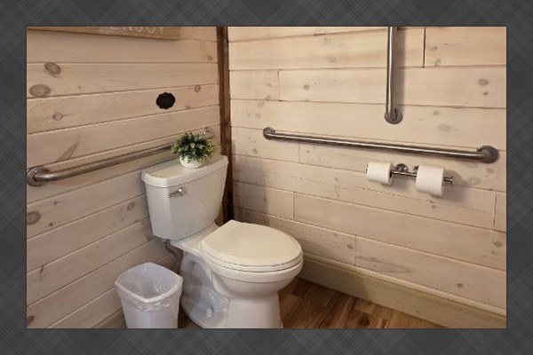 Bathroom 2 Grab bars