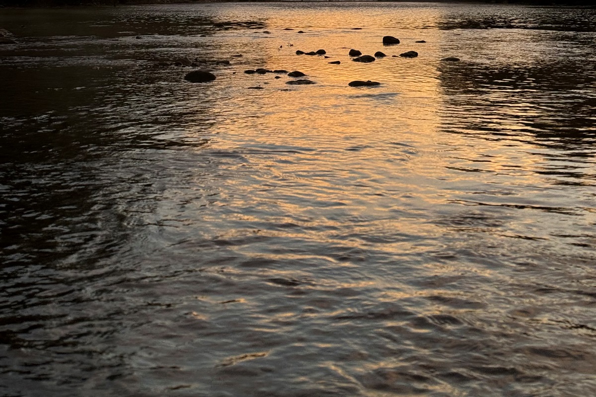 Evening at the river