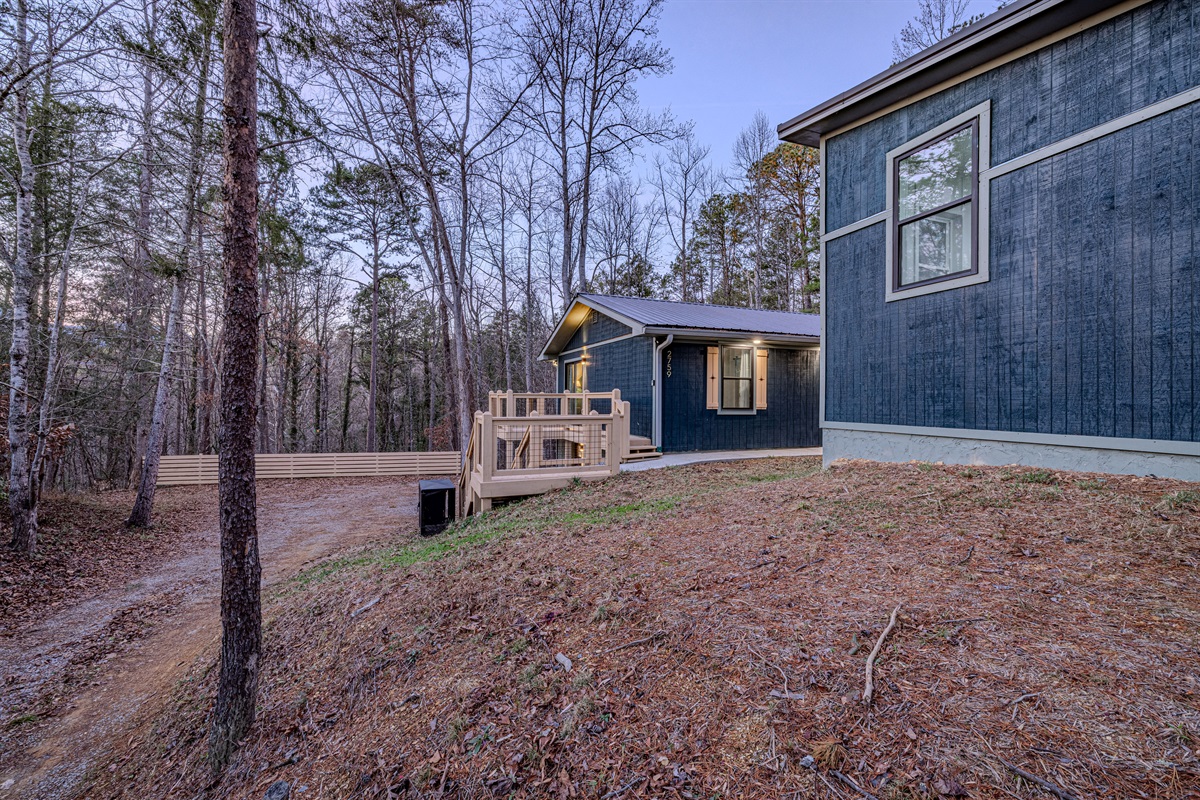 Experience the ultimate evening retreat where mid-century design meets the quiet, starlit canopy of the forest.