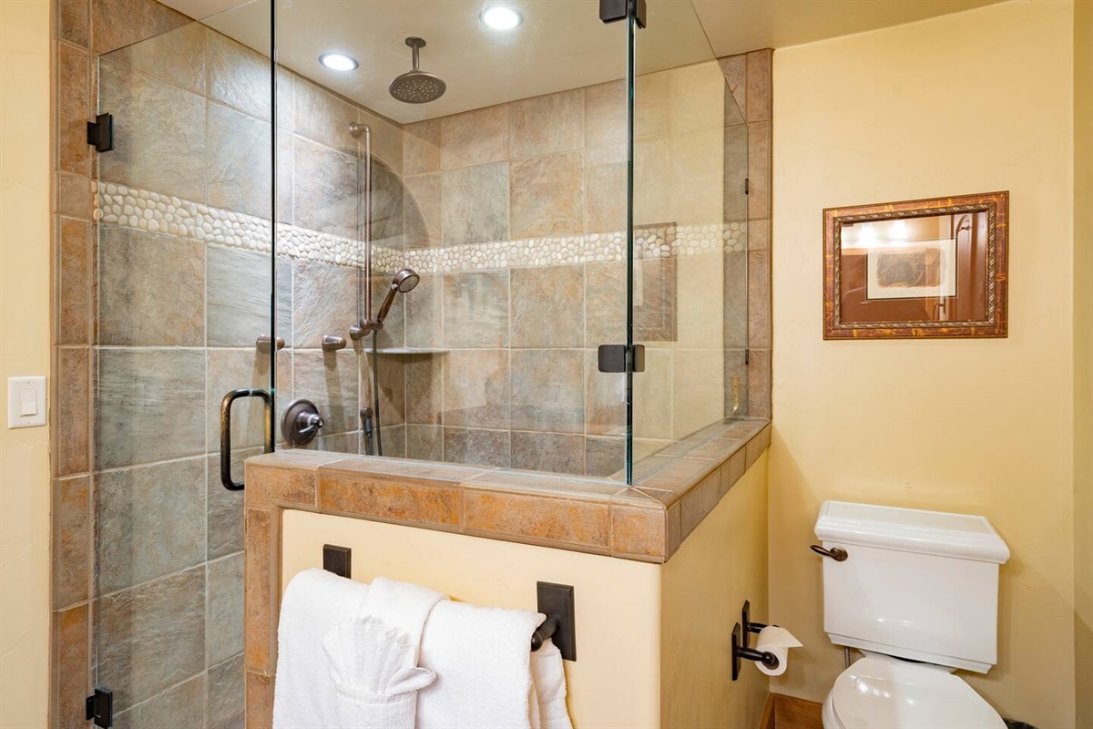 Master Shower