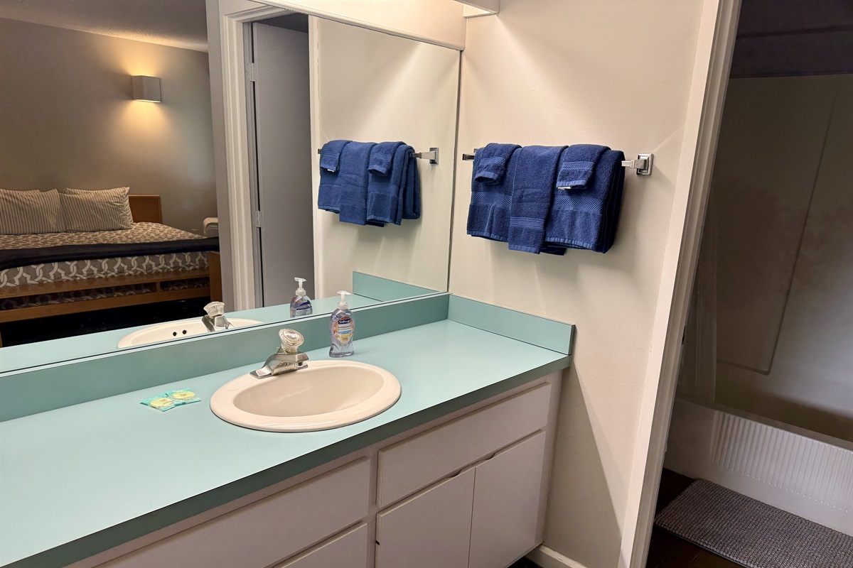 Primary ensuite bathroom