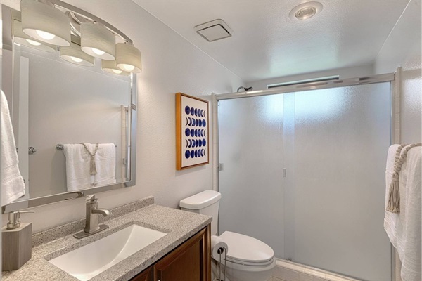 Full bathroom with walk-in shower