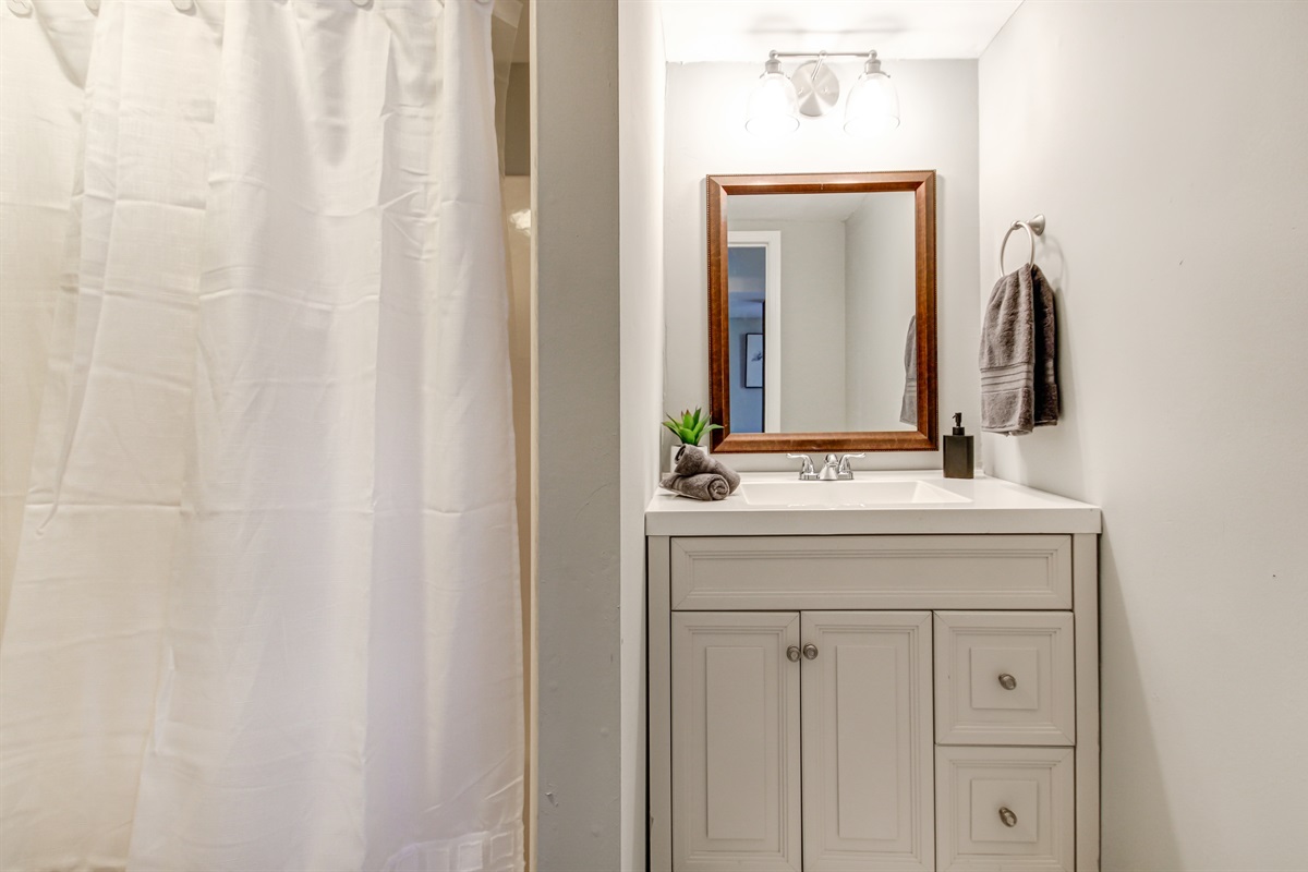 Full Downstairs Bathroom