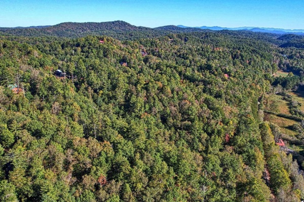 Aerial view of the neighborhood with cabin to the right.