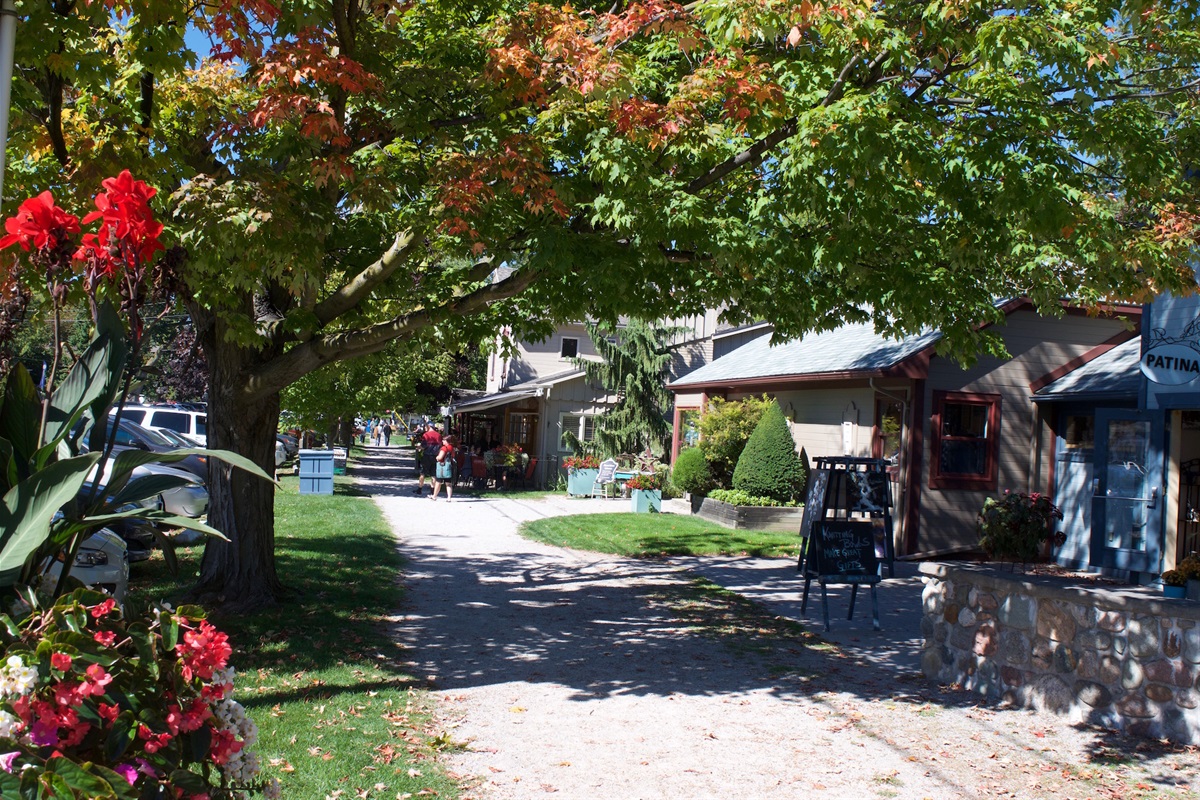 138cd0f5c1904b1b9bfda21c73f7f02f Large