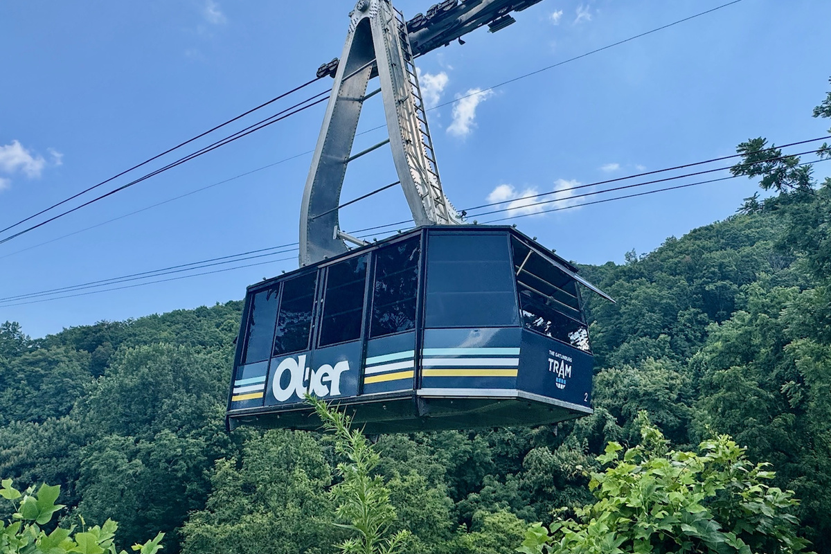 Ober Tram Line Crossing By the Property