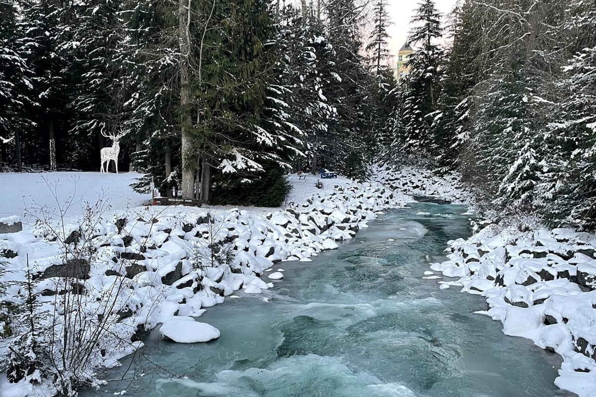 Rebagliati park (illuminated reindeer) is tucked beside the covered bridge between the Upper and Lower Village and bordered by Fitzsimmons Creek.  The covered bridge is less than 100 metres from your front door. This is literally your back yard.