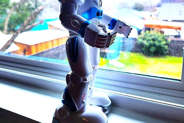 Howie SHOG loves the five windows facing the backyard where he can chastise the Boss'es cat Einstein.  