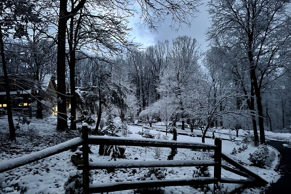 Snowy Butterfly and Bird Garden.