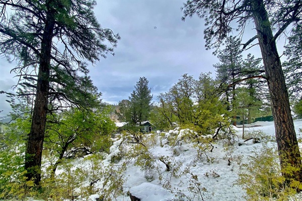The house is situated on the top of a hill surrounded by trees.