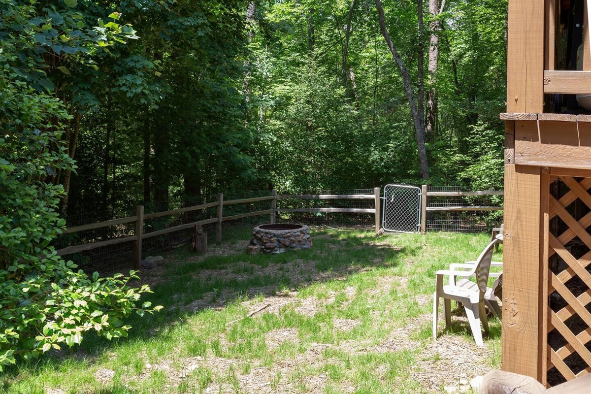 Fenced back yard
