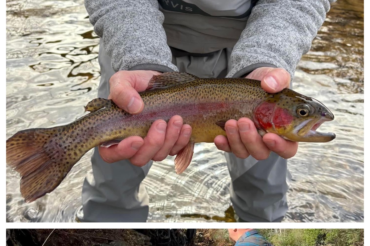The Watauga River was named one of the best fly fishing areas on the East Coast of the United States, and we definitely agree! Come enjoy fishing from the banks at the nearby Valle Crucis Park or hire a guide and find some of the best fishing holes around.