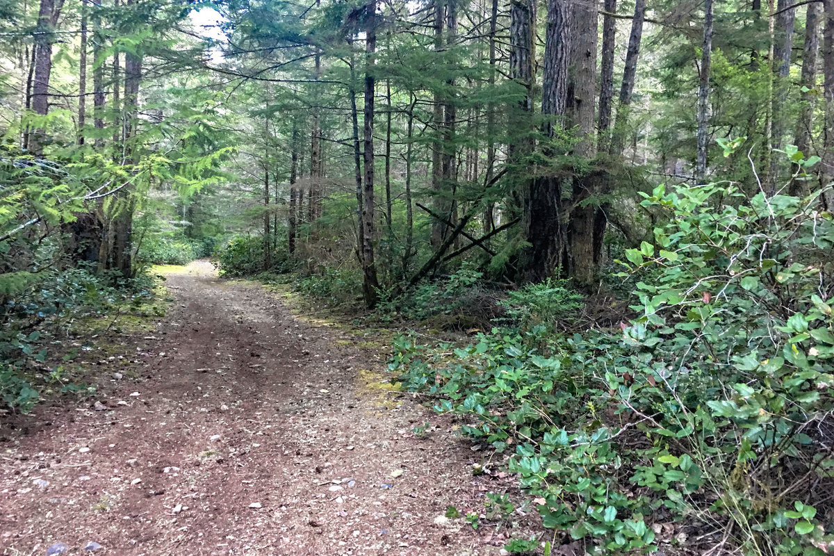 More Paths