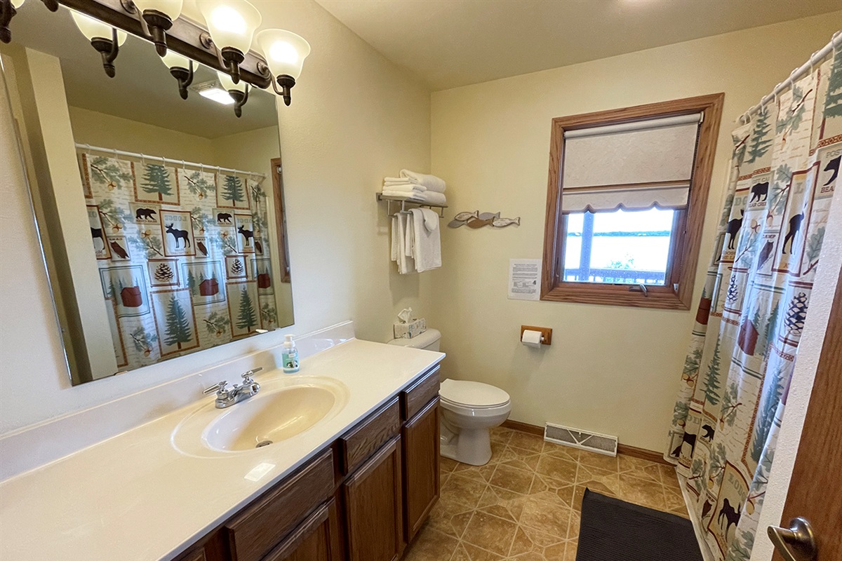 101 Lower Lakeview Bathroom