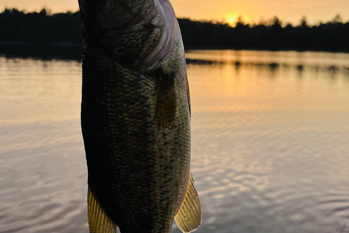 The fishing is great!