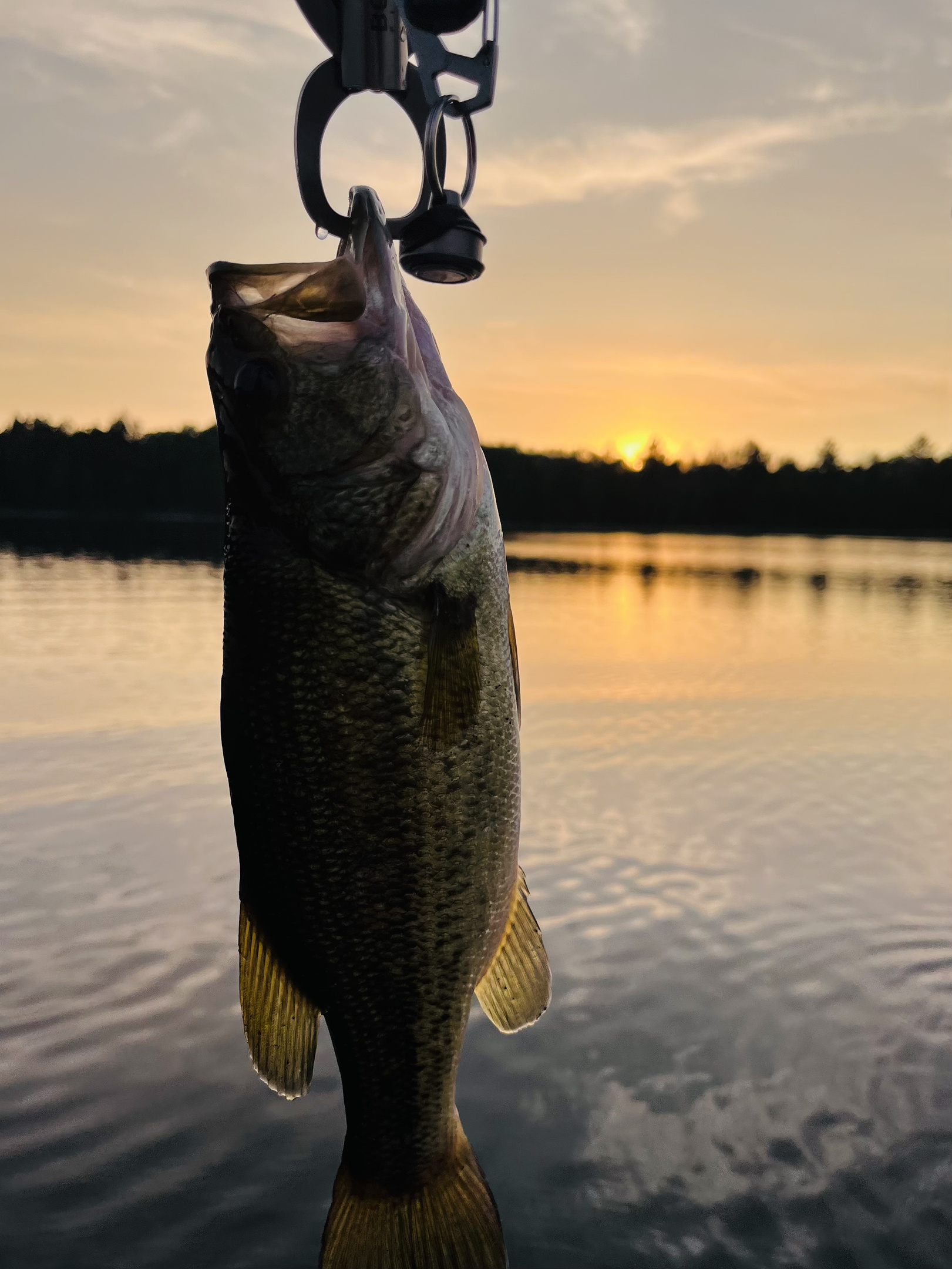 The fishing is great!