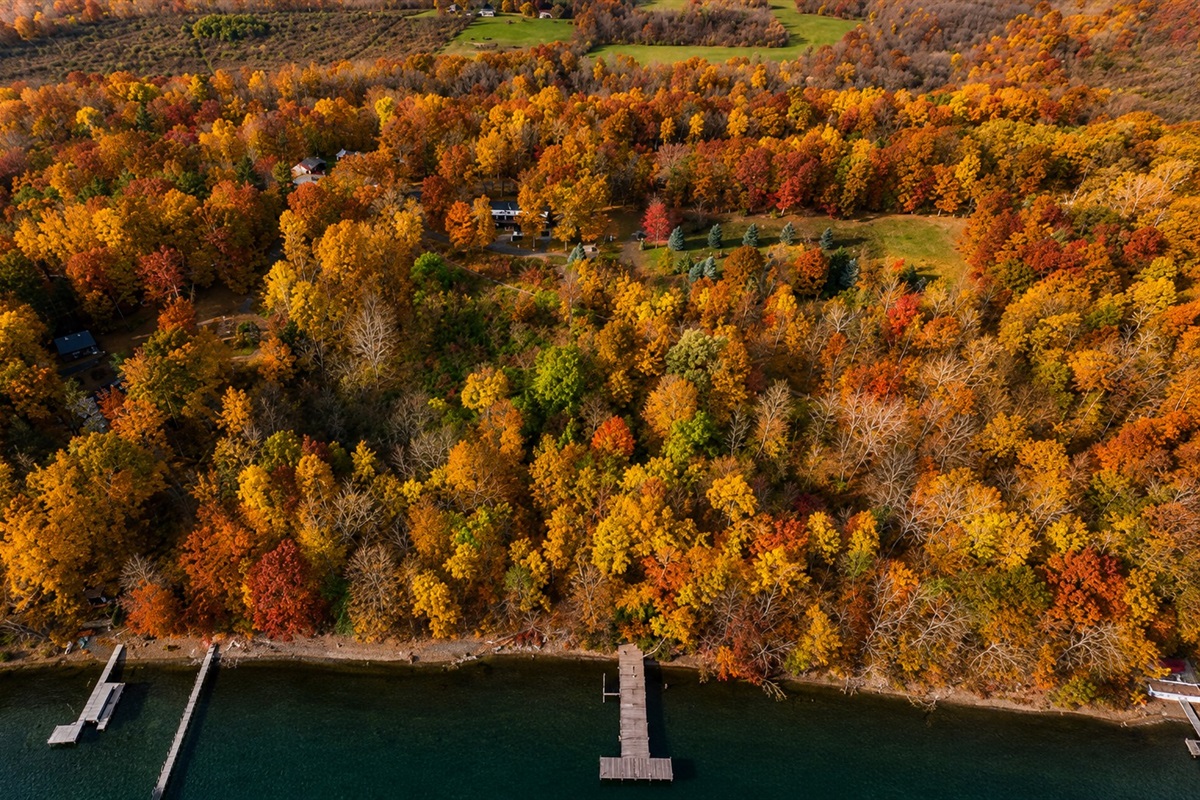 Enjoy 800 ft of access to Cayuga lake (please note the docks pictured are not available for guest use)